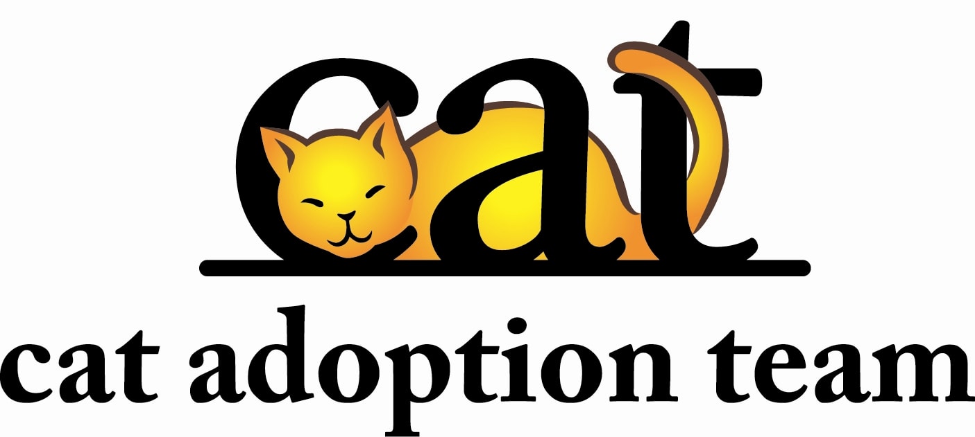 Cat Adoption Team